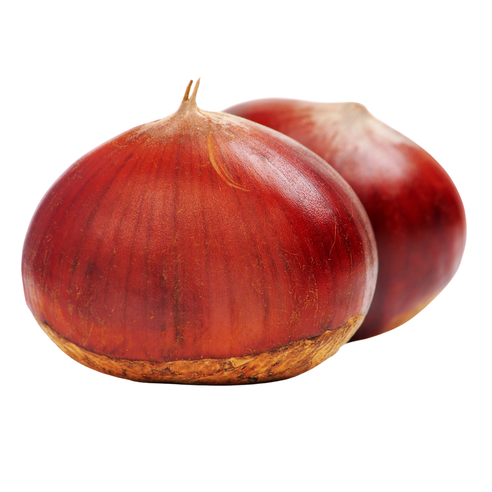 10.png