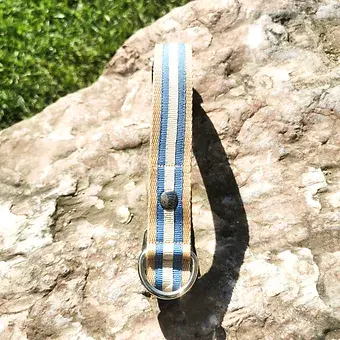 Miniatura: Collari 2024 STRIPE 15 mm, 20mm o 25mm