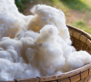 made in italy artigianato cucce per cani cotone.png