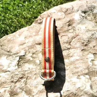 Miniatura: Collari 2024 STRIPE 15 mm, 20mm o 25mm