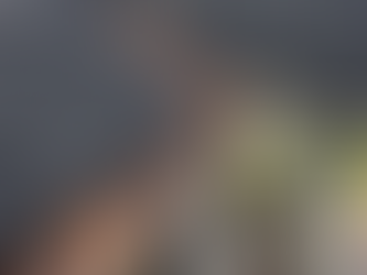 Gouttières complètement bouchées par des feuilles mortes et des débris organiques à Québec avant le nettoyage par VitresVH.