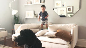 Our IKEA Söderhamn Makeover: Comfort Works Sofa Covers Review