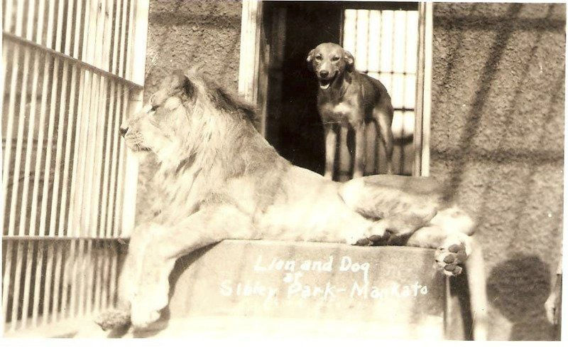 Mutt and Jeff. Courtesy Blue Earth Historical Society.