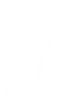 Untitled design (4).png
