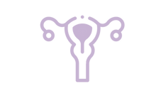 Trato genital .png