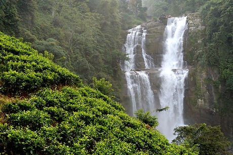 Sri Lankan Waterfall