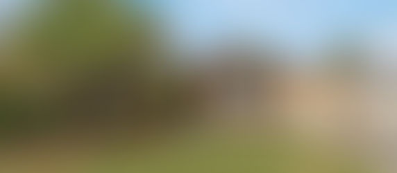 From Overwhelmed to Empowered: How One Sydney Couple Bought Smart in a Rising Market