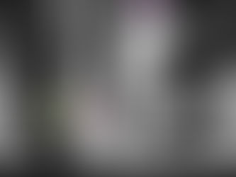 פרק ה' - L.ZinT.L.V