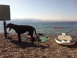 פרק ד' - אשרם במדבר