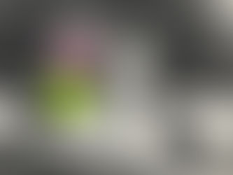 פרק י"ד - כשלון מובנה בסיפור