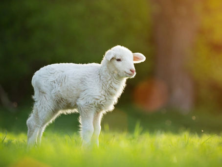 Why Is Jesus So Important?