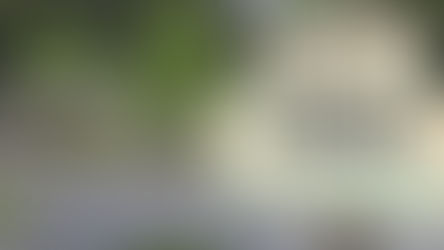 CEDAR KEY RV RESORT : POUR SNOWBIRDS DISTINCTS