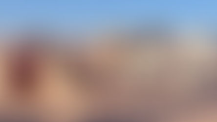 Les dromadaires sont à la Tunisie ce que sont les orignaux au Canada. J'exagère ? Pas vraiment... du moins un peu! Reconnaissons tout de même certains points en commun. Indéniablement, ces quadripèdes massifs sont aussi des symboles nationaux, tout en étant une attraction touristique. En Tunisie, ils sont également des dangers sur les routes, ce qui leur confère aussi des pictogrammes avertisseurs sans équivoque dont certains sont même peints sur la chaussée.