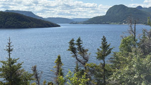 LE COUP DE FOUDRE DU GROS MORNE