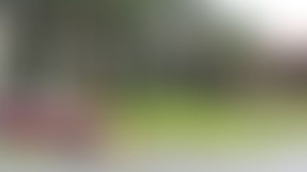 DANS L’ANTICHAMBRE D’UN TOURNOI MAJEUR