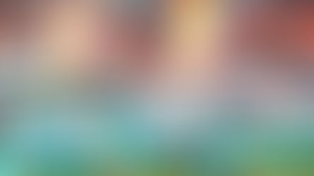 NFL FOOTBALL : LA GRANDE MESSE DOMINICALE AMÉRICAINE