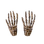 Accessoire Halloween