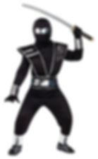 Ninja noir