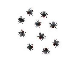 Accessoire Halloween
