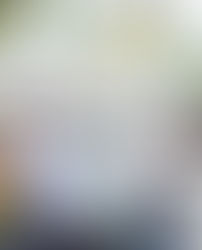 Festival Success and Upcoming Events