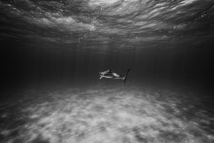 BTWaves-May26-9.jpg