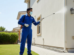 How Often Should You Do Pest Control in Your Home?