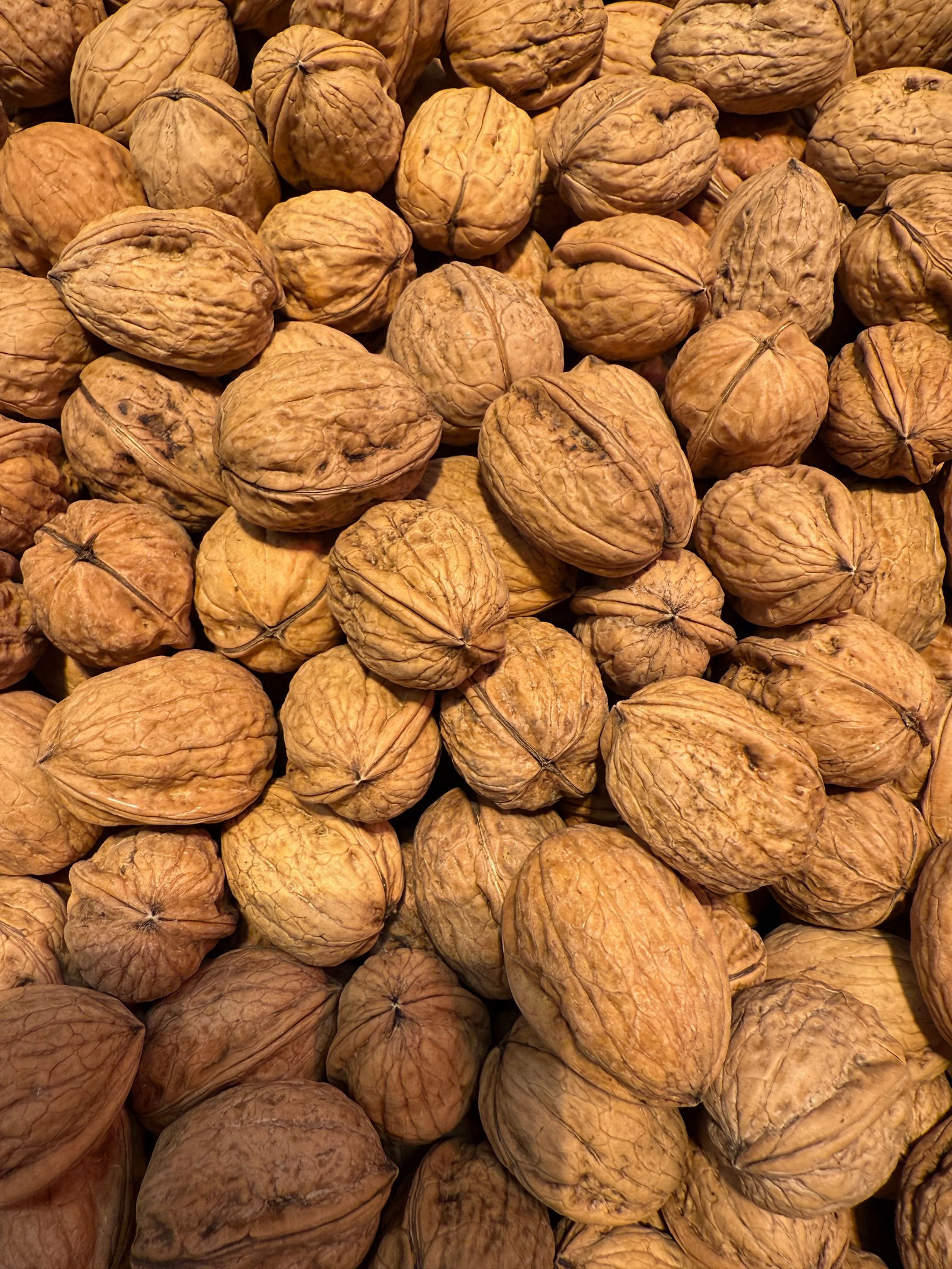 Walnüsse"Perigord" 100g