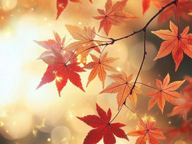 山育ち×都会育ち