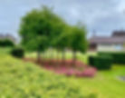027fd776-9ba7-41bf-8249-97b95cda91a3.jpeg