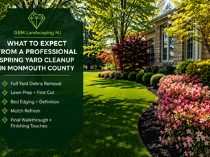 What to Expect from a Professional Spring Yard Cleanup in Monmouth County
