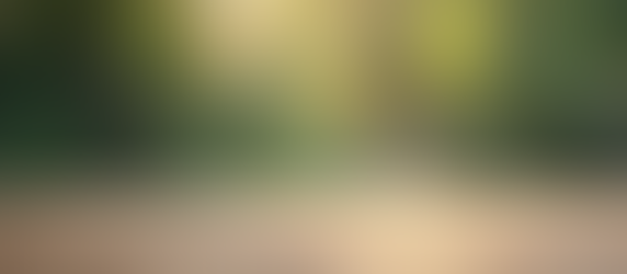 Avantages stratégiques de l'assurance vie et patrimoine