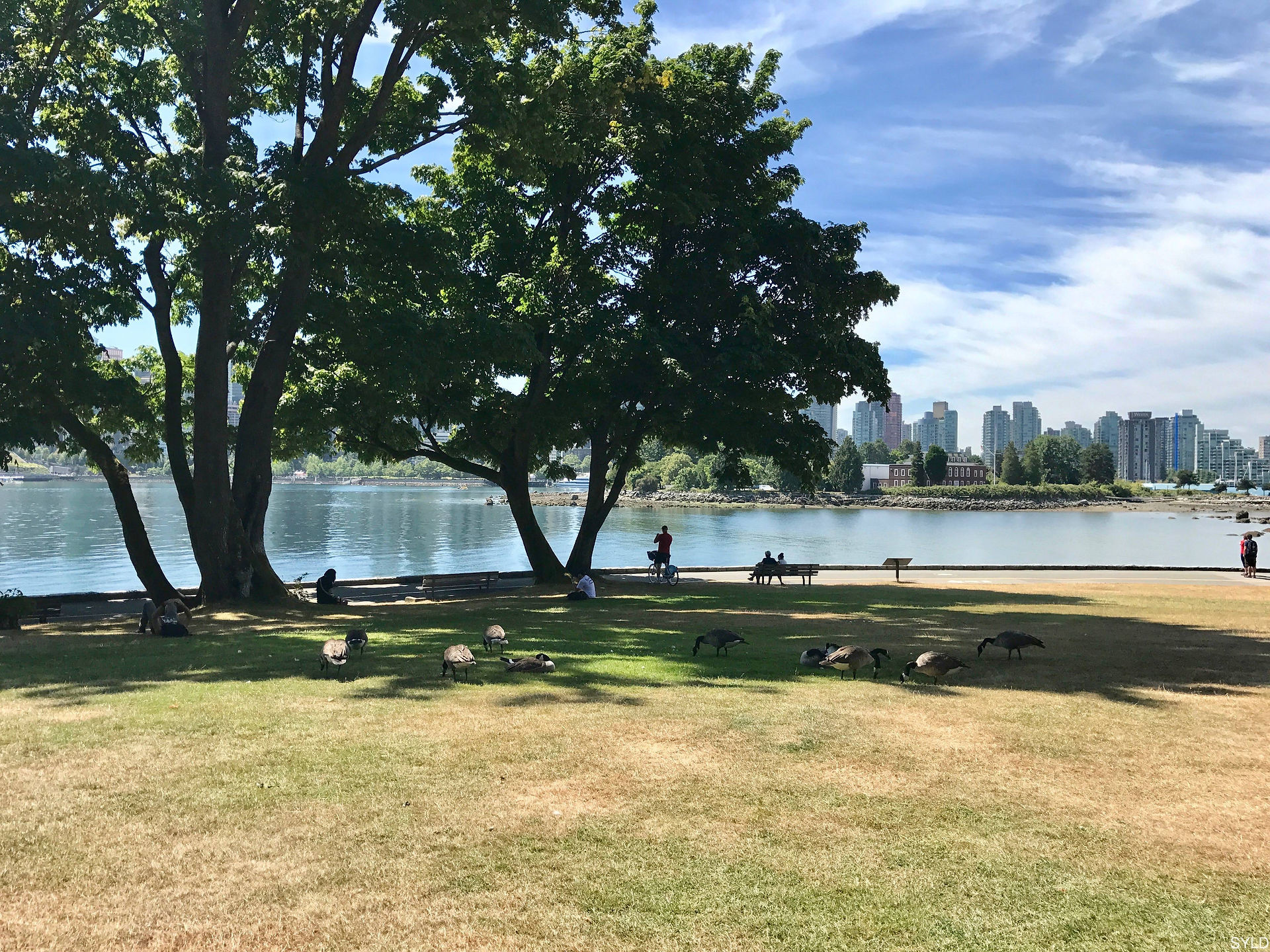 Kanada_Tag_03 - 5