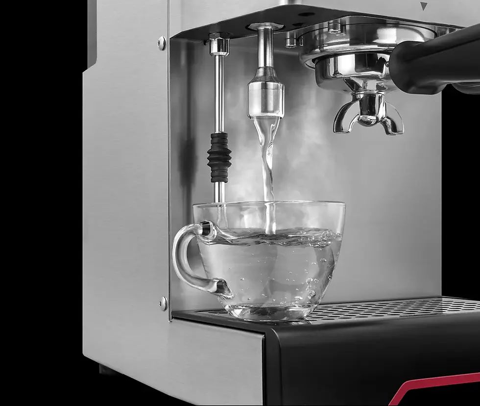 Thumbnail: NEW Gaggia Classic GT