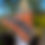 Thumbnail: Crosshatch