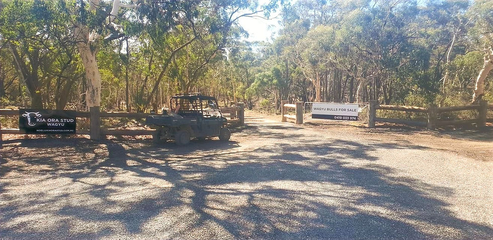 Front entrance to Kia Ora Stud, 3580 Kings Highway, Bungendore New South Wales
