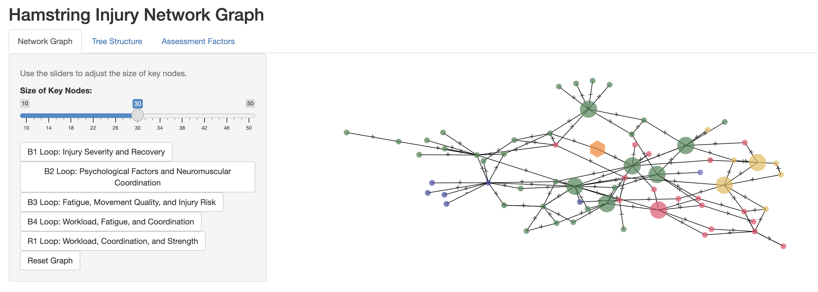  A screenshot of a Shiny app interface displaying a “Hamstring Injury Network Graph.” The interface includes three tabs: “Network Graph,” “Tree Structure,” and “Assessment Factors.” The “Network Graph” tab is active, showcasing a slider for adjusting the size of key nodes and several buttons to highlight different injury-related loops such as “Injury Severity and Recovery,” “Psychological Factors and Neuromuscular Coordination,” and “Workload, Fatigue, and Coordination.” The right side of the interface features a complex network graph with nodes of varying sizes and colors connected by lines, representing the relationships between different factors contributing to hamstring injuries.