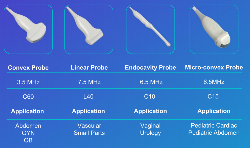 Comparison of ultrasound transducer types including convex, linear, endocavity, and micro-convex probes, illustrating differences in frequency and clinical applications relevant to musculoskeletal imaging.