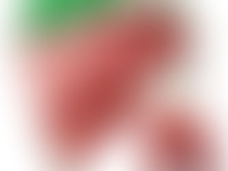 Ultrasound image of the supraspinatus tendon with region of interest and Fourier spectrum analysis demonstrating collagen organization using peak spatial frequency radius (PSFR).