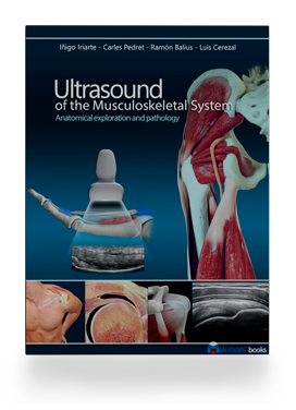 Cover of Ultrasound of the Musculoskeletal System