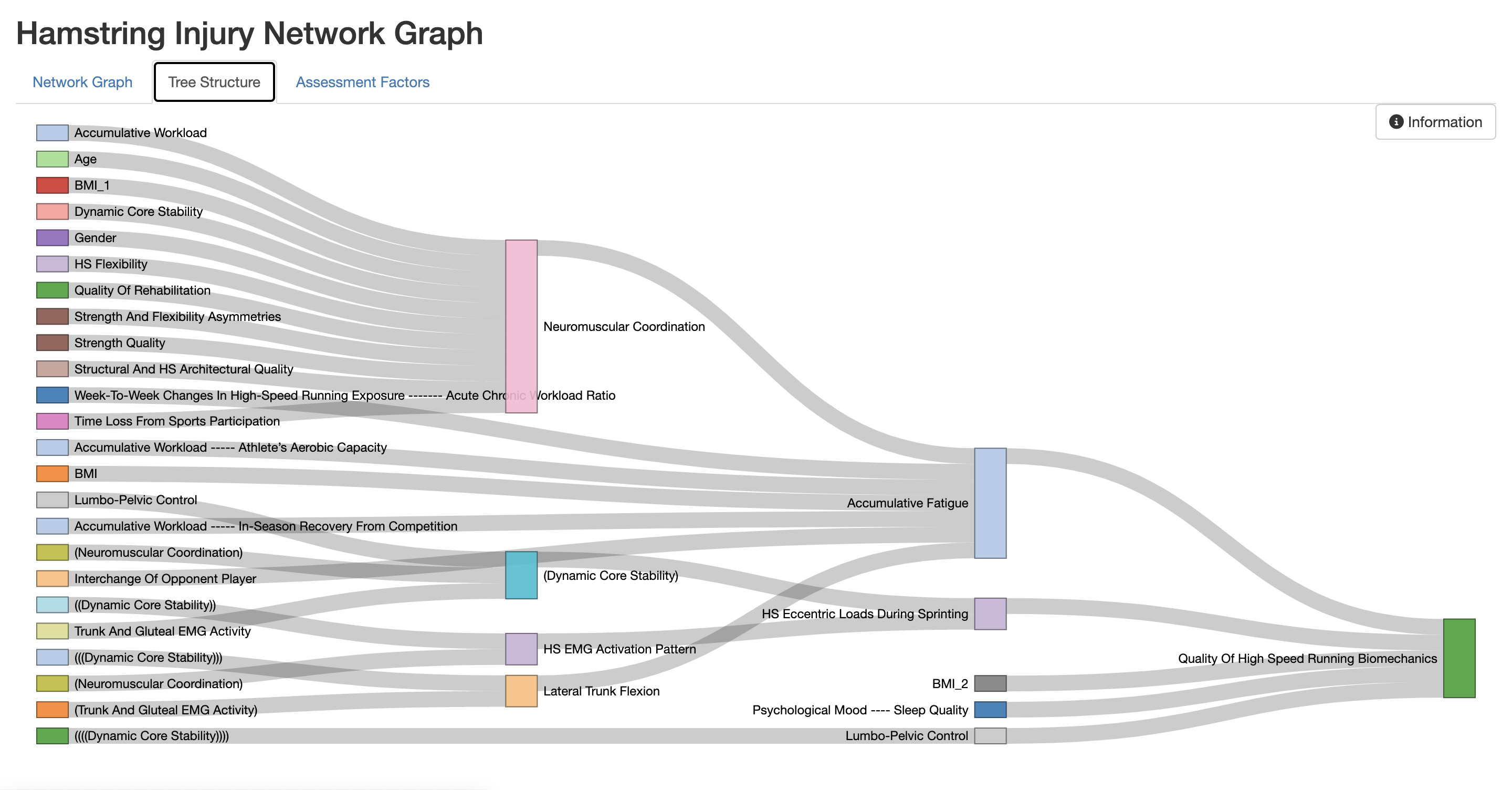 A screenshot of an interactive network graph visualizing the relationships between various factors contributing to hamstring injuries, including nodes representing key factors such as ‘Neuromuscular Coordination’ and ‘High-Speed Running Biomechanics’. The graph shows connected nodes and edges with varying sizes and colors based on user input.