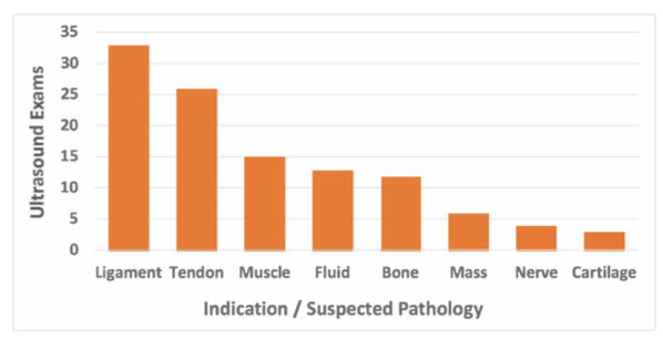 Bar graph demonstrating common indications for musculoskeletal ultrasound including ligament, tendon, muscle, and fluid-related pathology.