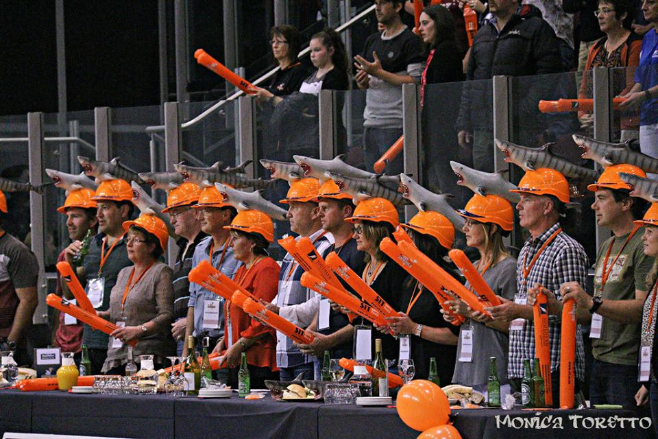 Follow your Southland Sharks