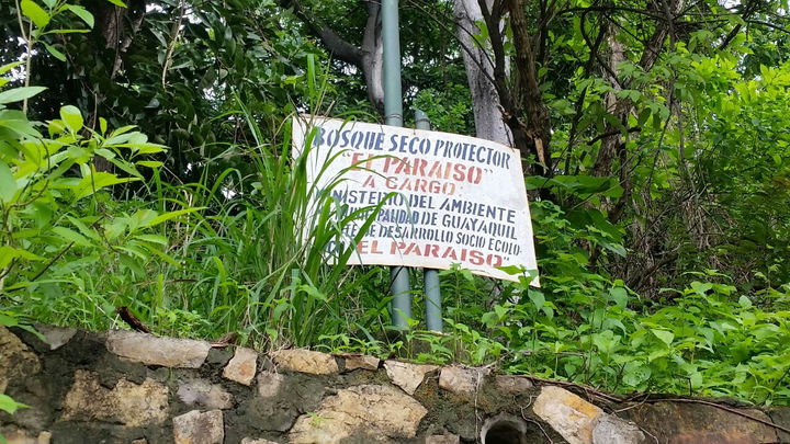 Abandono de la ciudadela El Paraíso