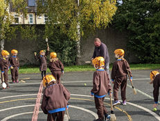 Hurling Coaching