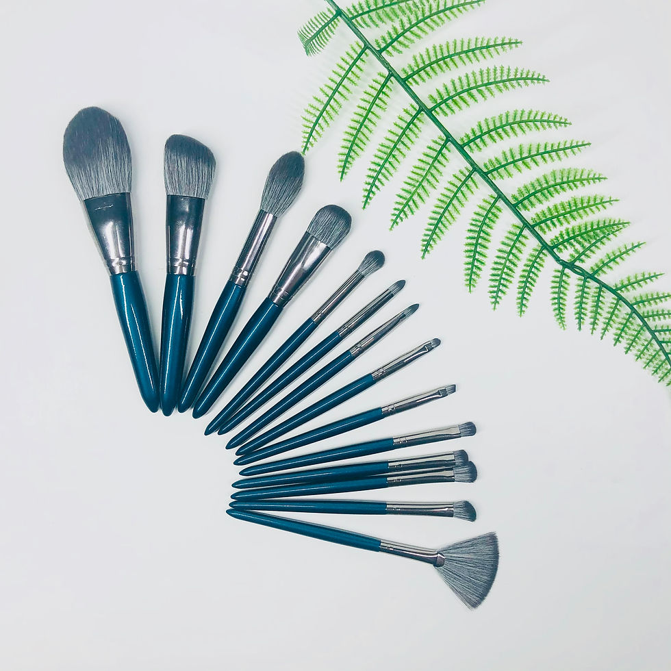 Thumbnail: Elegant and Classy Makeup Brushes Set of 14