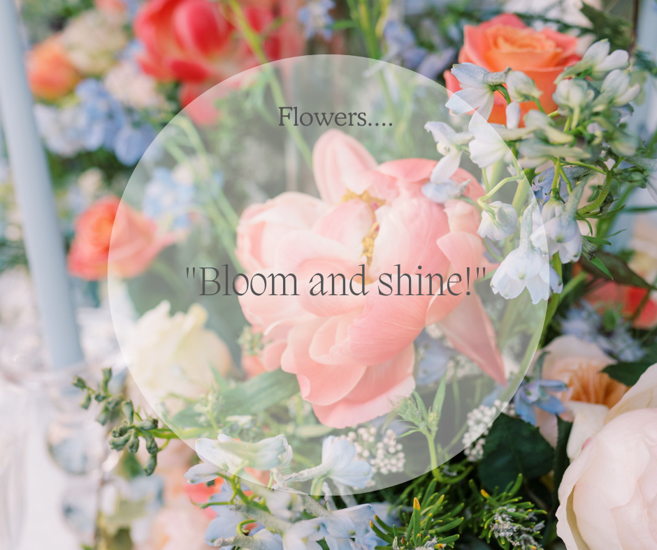 Best Weding Dress Shop in London