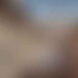 Wedding Dress Rentals Guide