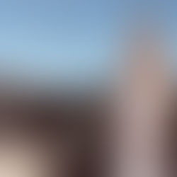 A Lace Mermaid Wedding Dress