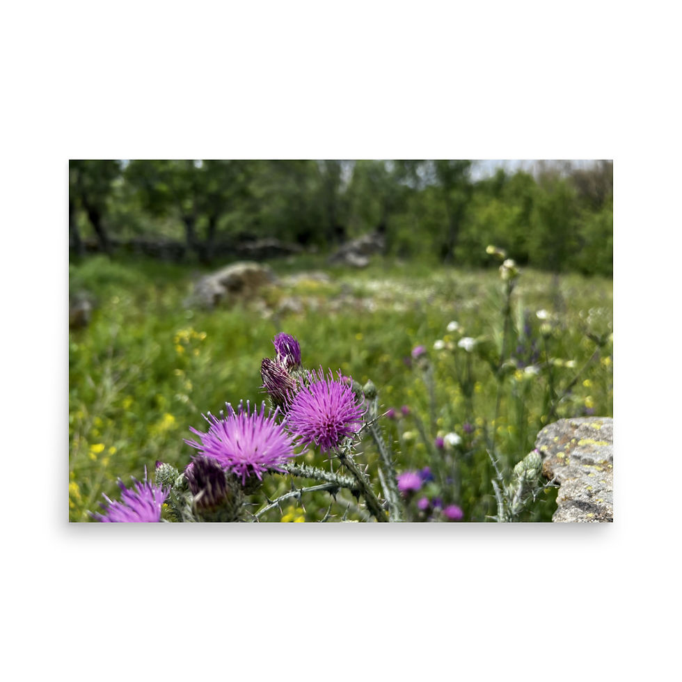 Thumbnail: Magenta surrounded by pink