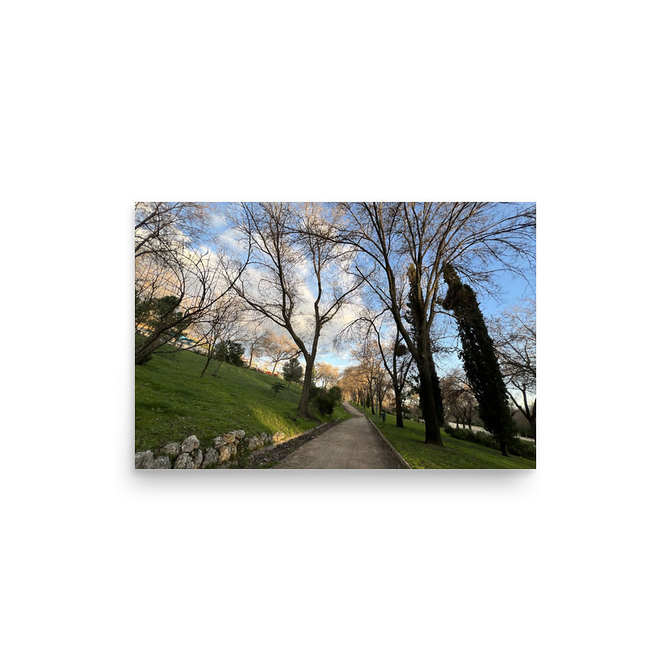 Thumbnail: Exiting the park art print | EyeofmyCam